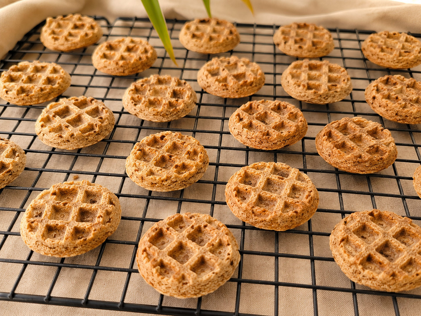 Mini Waffles