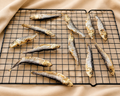 FinTastic Fishy Bites