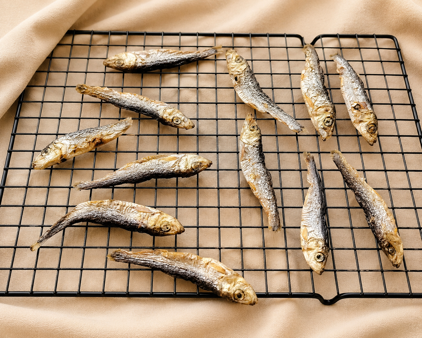 FinTastic Fishy Bites